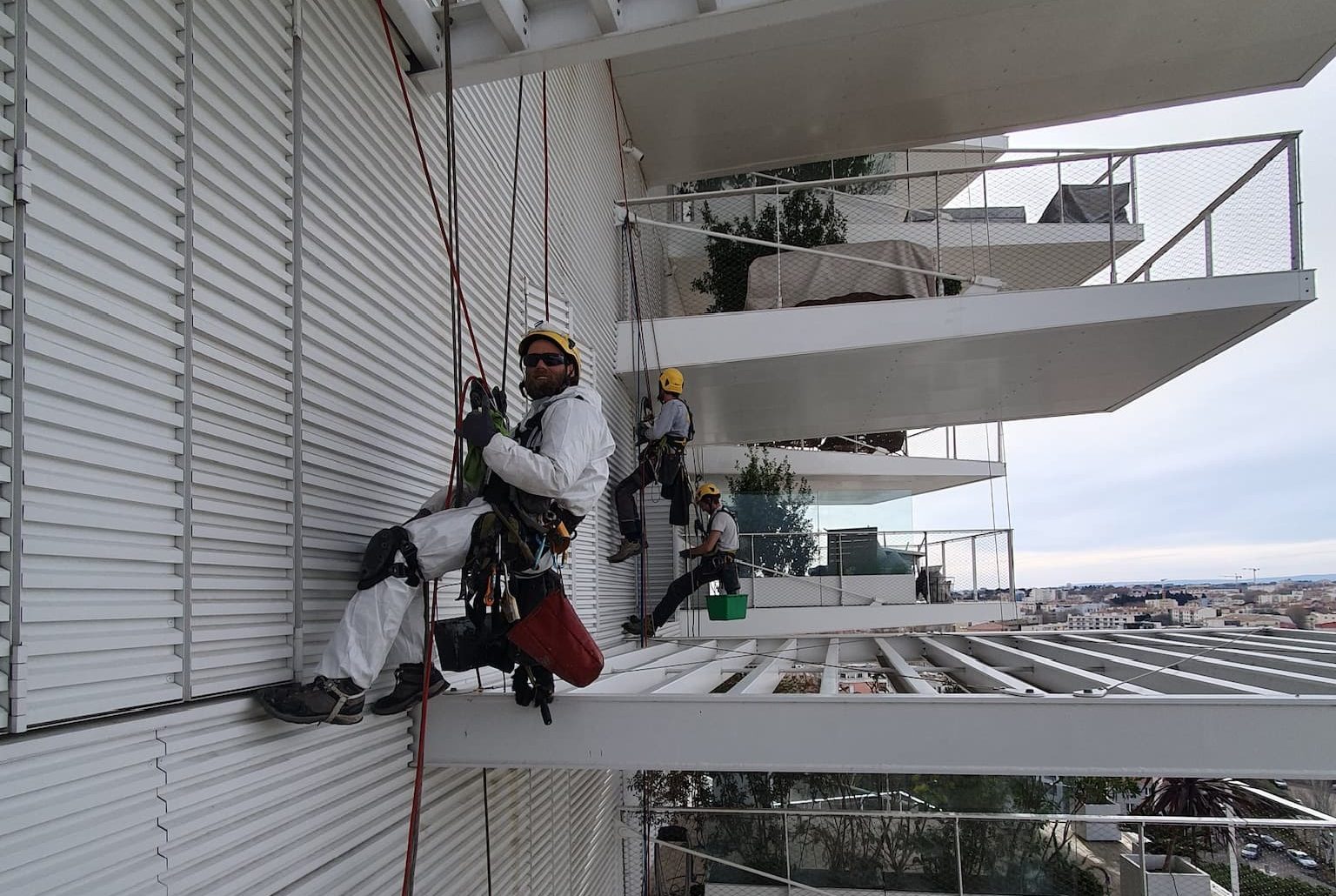 Travaux Arbre Blanc Montpellier