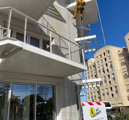 Travaux Arbre Blanc Montpellier