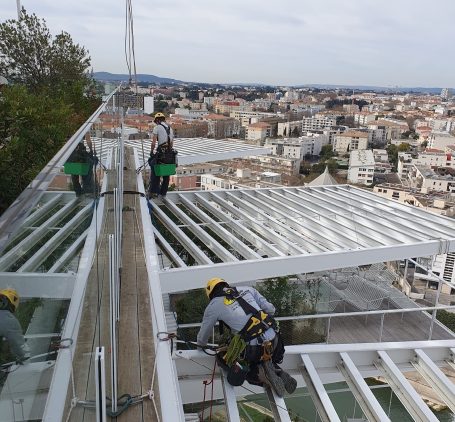 Travaux Arbre Blanc Montpellier